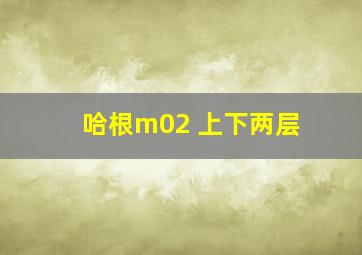 哈根m02 上下两层